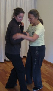 11e Push Hands Intensive Training, juni 2012