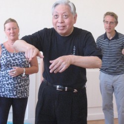 Workshop Grandmaster WCC Chen Deventer 2012