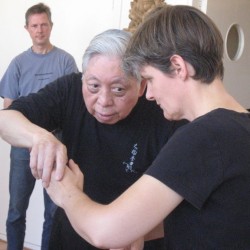 Workshop Grandmaster WCC Chen Deventer 2012