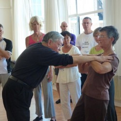 Workshop Grandmaster WCC Chen Deventer 2012