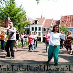 Wereld T'ai Chi Dag 2014
