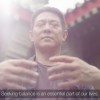 In balans blijven jet-li-chi-kung