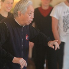 Workshop Grootmeester William C. C. Chen in Deventer, september 2015. Foto: Alwin Wubben