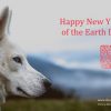 Gelukkig Nieuwjaar van de hond 2018-HappyNewYear